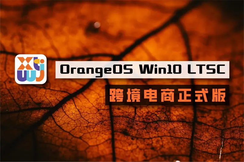 系统玩家OrangeOS Win10跨境电商版v2 1 OrangeOS Win10 LTSC 跨境电商正式版封面图